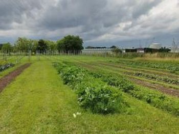 gezondekweek