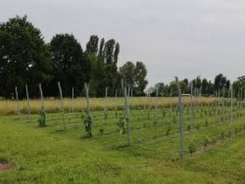 gezondekweek